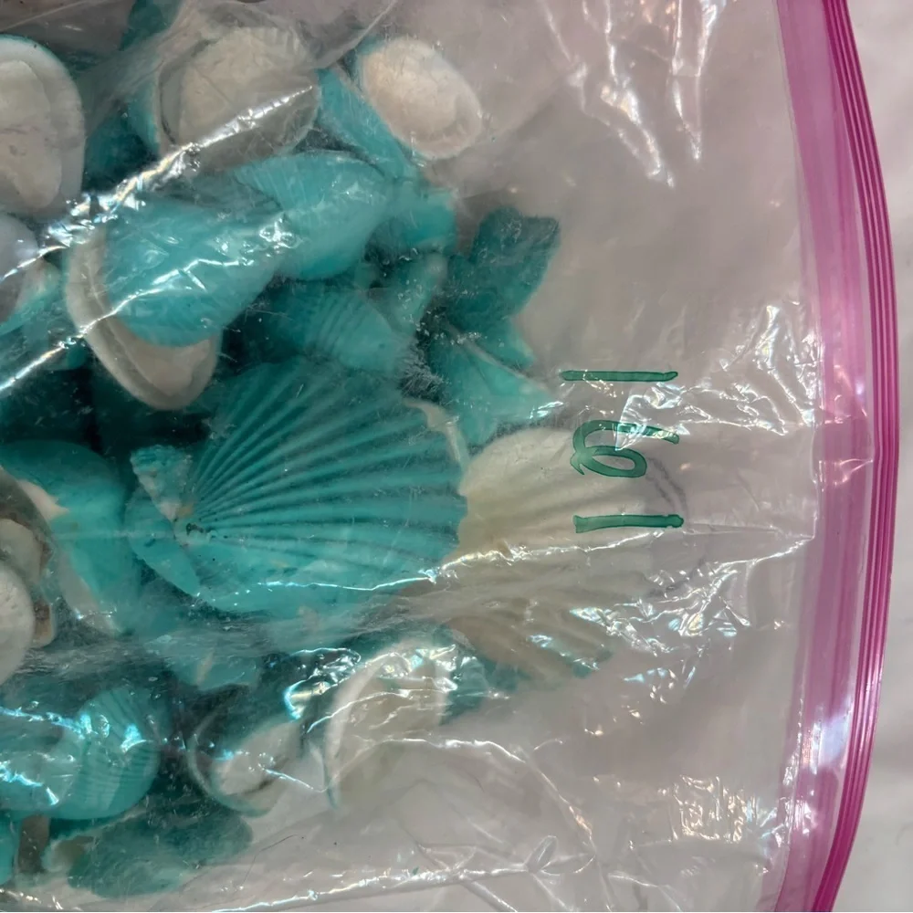161 Aqua Teal Painted Real Seashells For Decorating Or Center Pieces